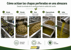 Infografía fases de filtrado del aceite de oliva
